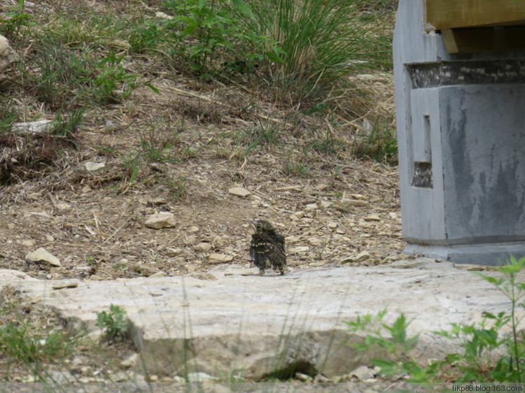 20160531 青州云门山 宋城 老街