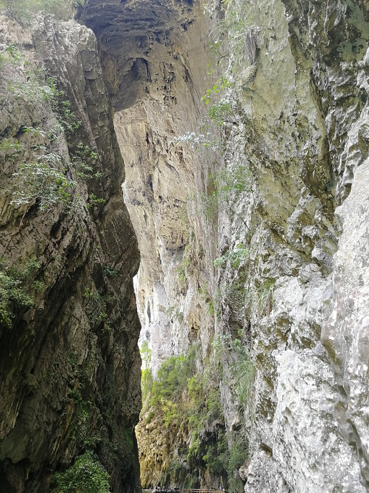 20180720 贵州大小七孔水上森林