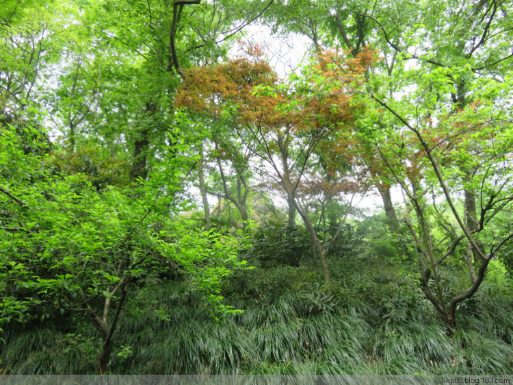 20160411 灵隐寺 韬光寺 永福禅寺