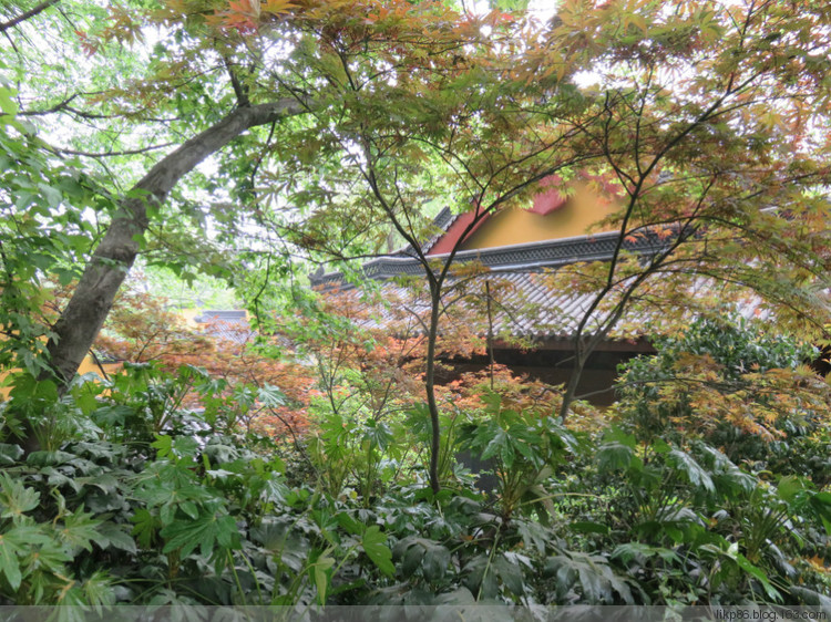 20160411 灵隐寺 韬光寺 永福禅寺