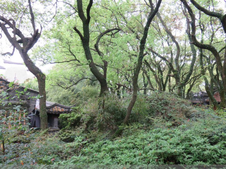 20160407 宁波天一阁 20160407 宁波天一阁