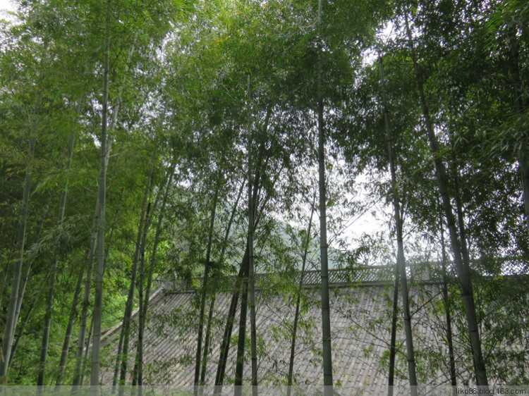 20160411 灵隐寺 韬光寺 永福禅寺 20160411 灵隐寺 韬光寺 永福禅寺