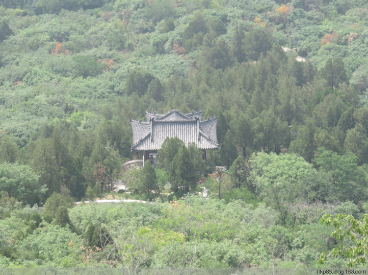 自动草稿 自动草稿