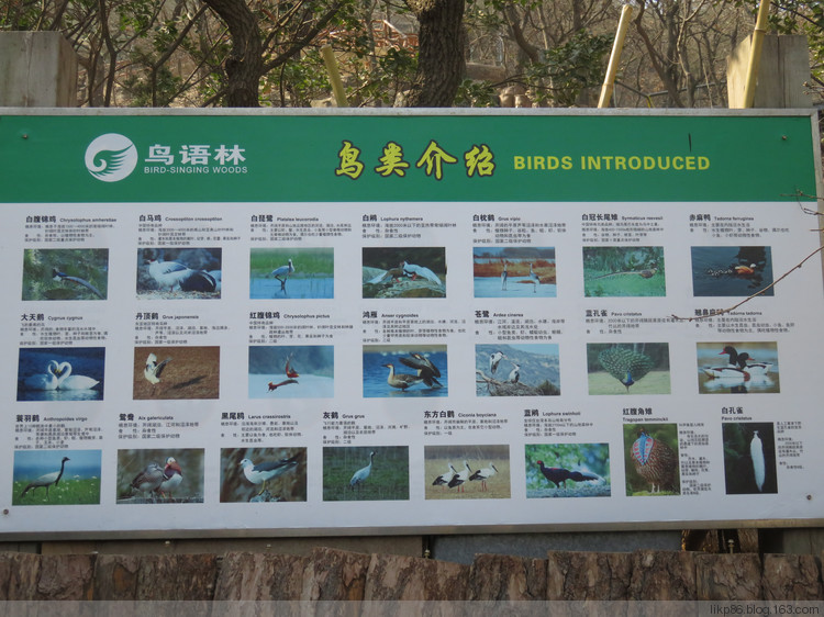 自动草稿 自动草稿