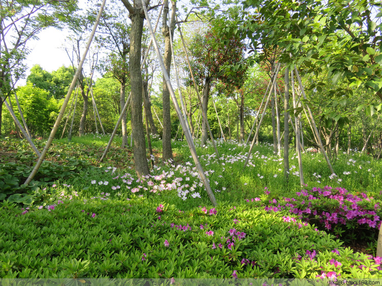 20170429 灵山胜景