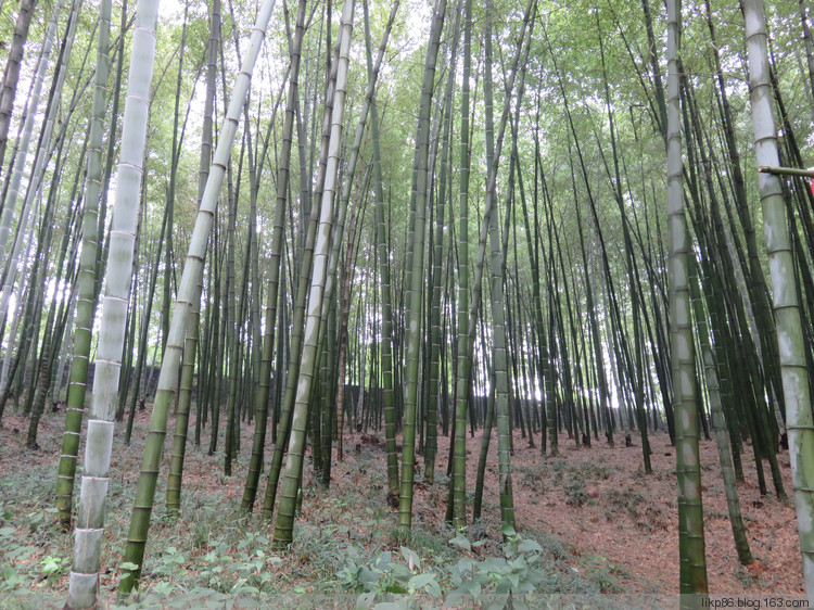 20161001 宜兴大觉寺 善卷洞 20161001 宜兴大觉寺 善卷洞