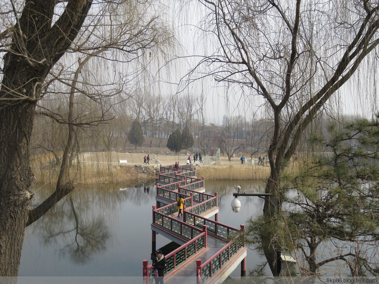 20170219 圆明园 正觉寺 20170219 圆明园 正觉寺