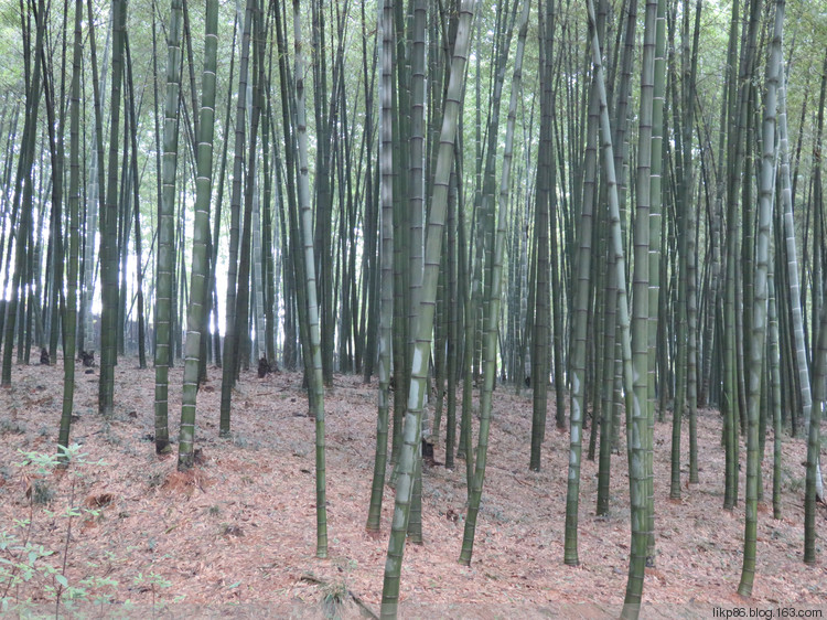 20161001 宜兴大觉寺 善卷洞 20161001 宜兴大觉寺 善卷洞